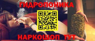 тгк Старая Купавна