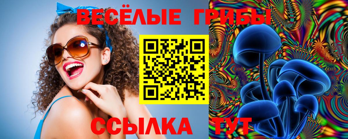 Псилоцибиновые грибы GOLDEN TEACHER  Псилоцибиновые грибы MAGIC MUSHROOMS  купить наркотик  Вход с VPN  Тольятти 